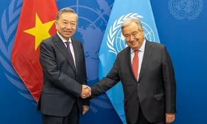 Tổng thư ký Liên Hợp Quốc 'dành tình cảm đặc biệt' cho Việt Nam