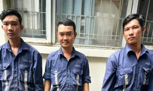 4 người bị bắt vì chặt hàng cau che biển quảng cáo